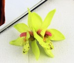 Dobbelt orkide hårclips, grøn